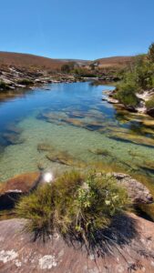 IMG-20210730-WA0065
